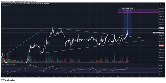 TradingView cryptocurrency chart for TetherDog2000/USDT showing a symmetrical triangle pattern with price levels around 2,900, including RSI (24, close) and Volume indicators.