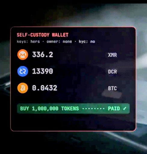A digital graphic of a self-custody wallet displaying balances of 336.2 XMR, 13390 DCR, and 0.0432 BTC, along with a green button reading "BUY 1,000,000 TOKENS ... PAID".