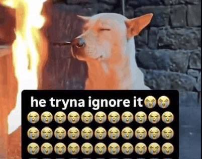 A meme image showing a Bull Terrier with its face calmly closed off to a fire nearby, with the caption 'he tryna ignore it' repeated with skull emojis below.