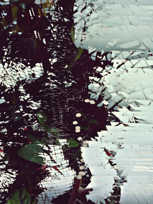 Abstract or glitched image showing distorted foliage, branches, and white shapes resembling birds or leaves against a dark background.