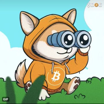 An animated cartoon of a Shiba Inu dog wearing an orange hoodie with a Bitcoin symbol, looking through binoculars against a blue sky background.