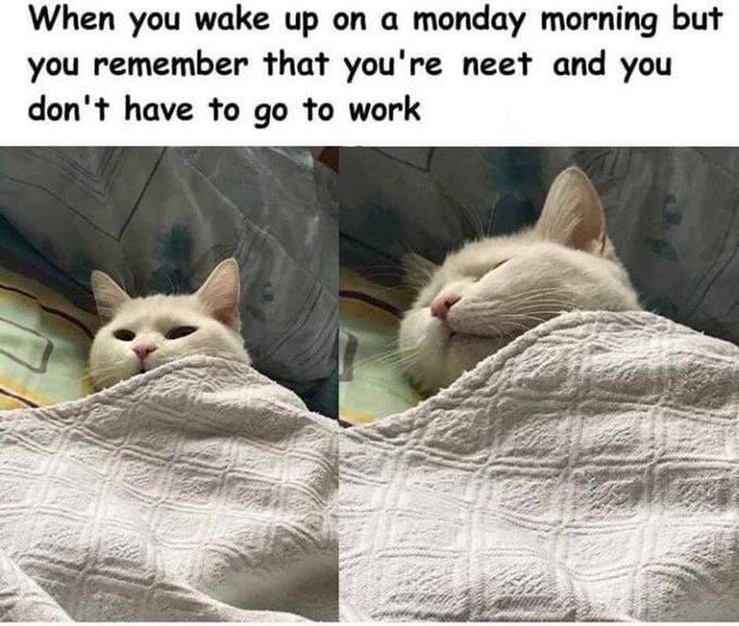A meme showing a white cat tucked under a blanket in two panels, with text reading 'When you wake up on a monday morning but you remember that you're neet and you don't have to go to work'.