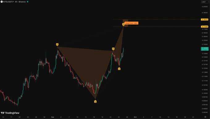 A 4-hour BTCUSDT chart from Binance on TradingView displays a large bearish harmonic pattern (appears to be a Bearish Bat or Gartley) overlaid on the price action, with a projected target zone marked around $0.19-0.20. The chart shows several swing points marked with yellow labels labeled "B," "C," "D," and "X," suggesting technical analysis suggesting a potential reversal or continuation in the cryptocurrency pair often associated with the $KITE token discussion.