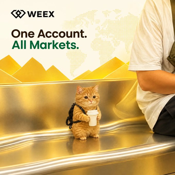 A promotional advertisement for WEEX featuring the slogan 'One Account. All Markets.' with an orange tabby cat wearing a backpack and holding a coffee cup against a gold background.