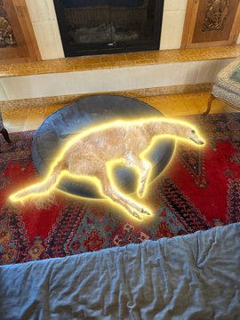 A cat lies on a circular rug in front of a fireplace, with a bright yellow glowing outline highlighting its body.