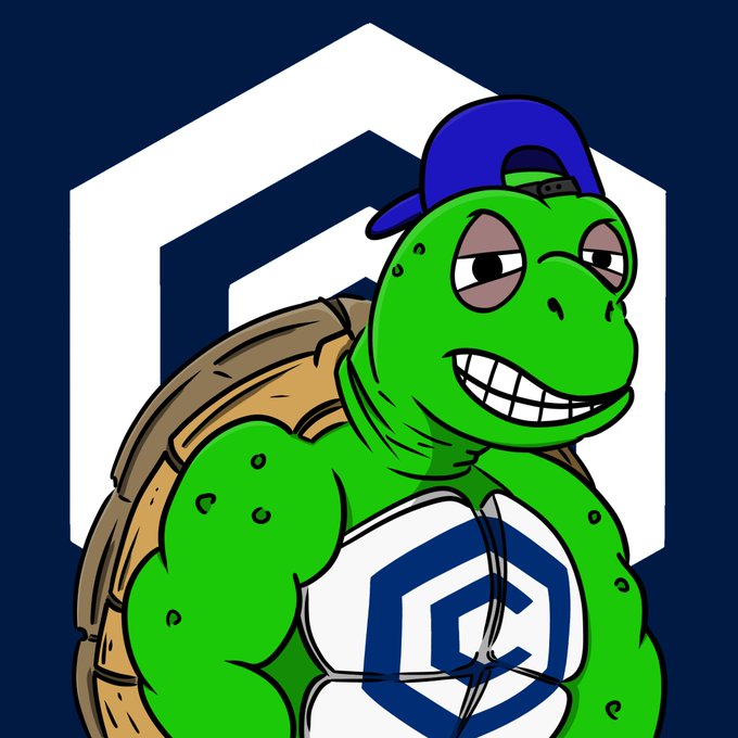 A cartoon illustration of a muscular green turtle wearing a blue cap, resembling a Pepe character, set against a dark blue background with a white hexagonal logo.