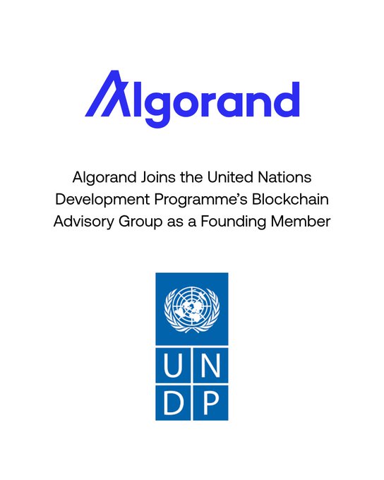 The image shows a blue logo for the United Nations Development Programme (UNDP) with the text " Blockchain @ UNDP", followed by the text "The United Nations Blockchain Advisory Group" and "Algorand through @AlgoFoundation is proud to be a founding member alongside". The post appears to be an article discussing the collaboration between the UNDP and Algorand for blockchain technology.