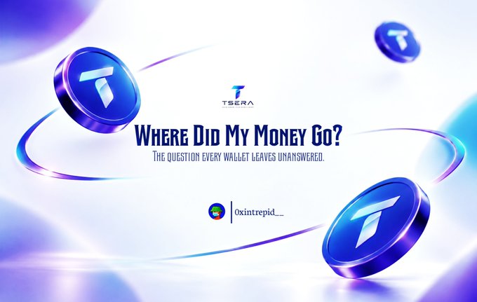 A digital advertisement features floating blue coins with a 'T' logo, with the 'TSERA' logo and the text 'Where Did My Money Go? The question every wallet leaves unanswered,' and the handle '@xintrapid_'.