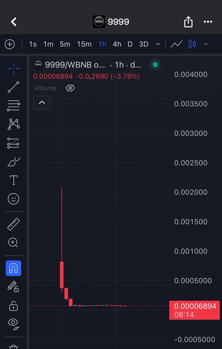 A cryptocurrency price chart shows the token 9999 paired with WBNB, displaying a sharp price drop with values like 0.00006894 and a 3.76% decline on a 1-hour timeframe.