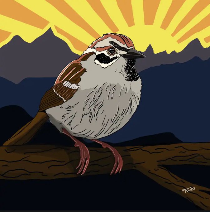 A stylized digital illustration of a brown and white sparrow perched on a wooden branch, set against a background of dark silhouetted mountains and a yellow sunburst rising over the peaks, signed 'JDubs' in the corner.