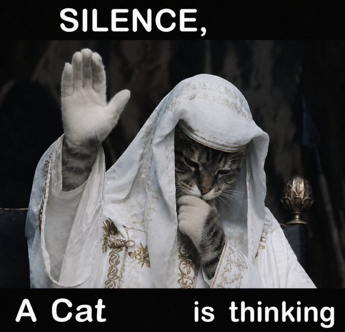 The image is a meme featuring a cat dressed in white robes with its paw raised in a "silence" gesture, captioned "SILENCE, A Cat is thinking." 

The post jokingly positions this wise, pondering cat as a metaphor for "$hmm" (likely a crypto token), suggesting investors should respect the "pump" and stay quiet while the cat thinks through the next 100x move before listing on "Billy" (Binance).