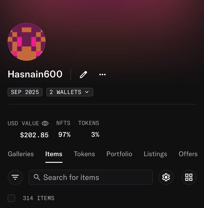 A profile page for a user named 'Hasnain600' showing a portfolio value of $202.85 USD across 314 items as of September 2025.