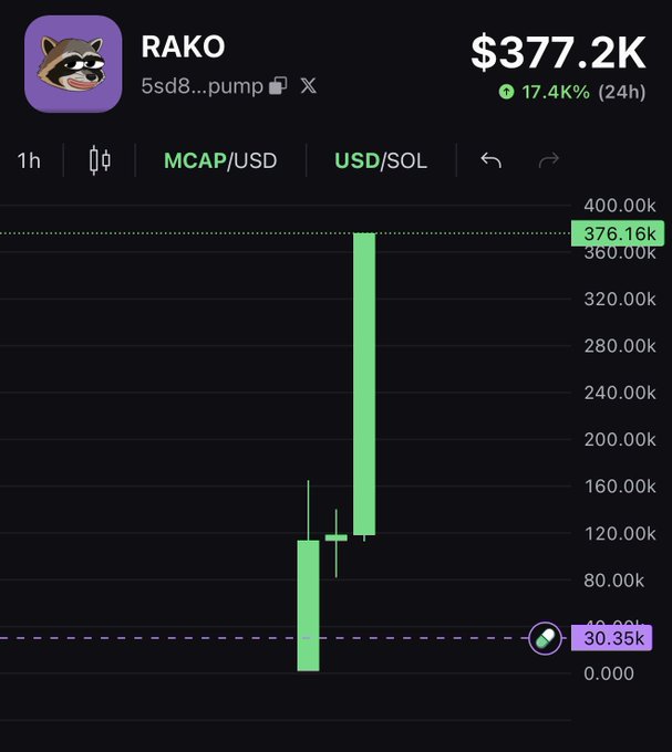 The image shows a 1-hour candlestick chart for the $RAKO token with a current market cap of $377.2K, up 17.4% in 24 hours. The chart displays a dramatic green bullish candle spiking from around $30.35k to nearly $400K, confirming the post's call for higher prices on $RAKO.