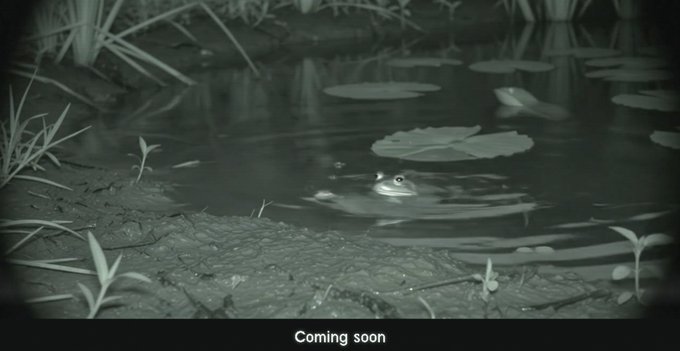 A nighttime surveillance-style image shows a frog floating partially submerged in a pond surrounded by lily pads, with the text "Coming soon" displayed at the bottom. The image plays on the accompanying post's playful "frong your frongs" wordplay, using the frog as a visual pun to tease Uniswap's upcoming launchpad on Robinhood.