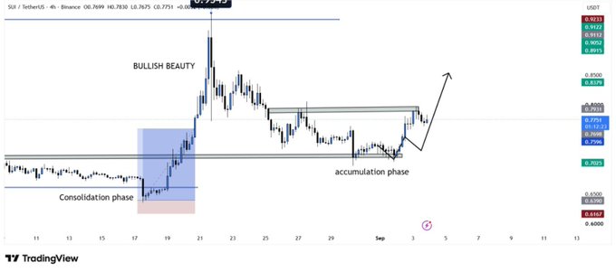 A 4-hour SUI/USD Binance chart displays bullish price action with marked "Consolidation phase," "BULLISH BEAUTY," and "accumulation phase" labels near the $0.70–$0.82 range, highlighting a potential breakout setup toward the $0.84–$0.85 resistance zone.