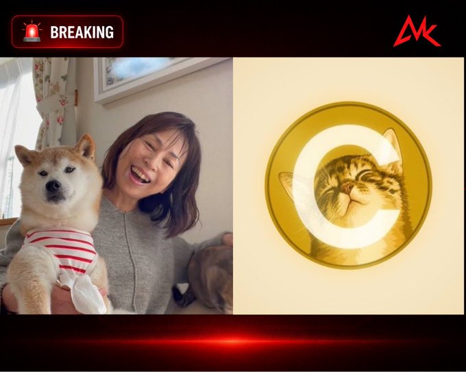 Breaking news-style split image showing a smiling woman with a Shiba Inu dog on the left, and a cat inside a gold CWC token (Coin World Cup) coin on the right.