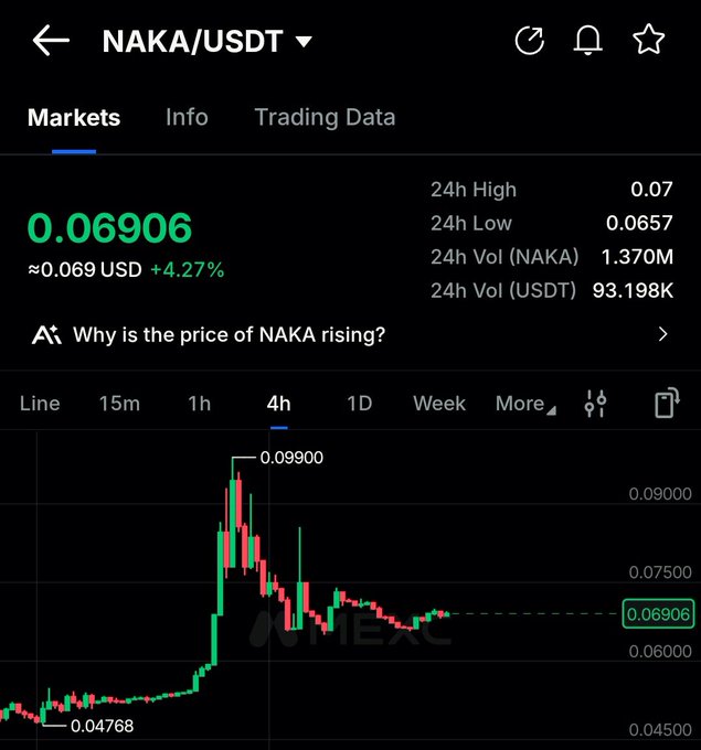 Trading chart for NAKA/USDT pair showing a current price of 0.06906 USD (+4.27%), with 24h high of 0.07 and 24h low of 0.0657.