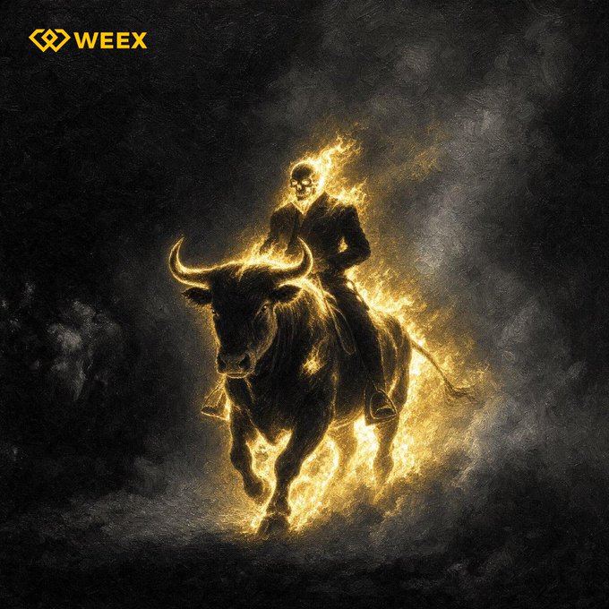 A dark artwork branded with WEEY showing a flaming skull figure riding a bull engulfed in golden flames.