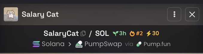 A dark-themed interface displays 'Salary Cat' as the header, with 'SalaryCat / SOL' showing a 3h timestamp, #2 ranking, and 30 lightning icons, linked via Solana and PumpSwap through Pump.fun.