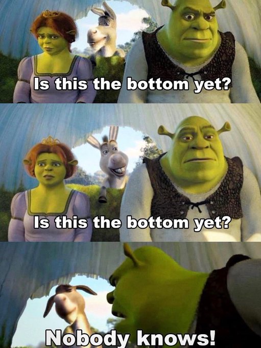 A three-panel Shrek meme featuring Princess Fiona, Donkey, and Shrek, with text 'Is this the bottom yet?' repeated twice, followed by 'Nobody knows!' in the final panel.
