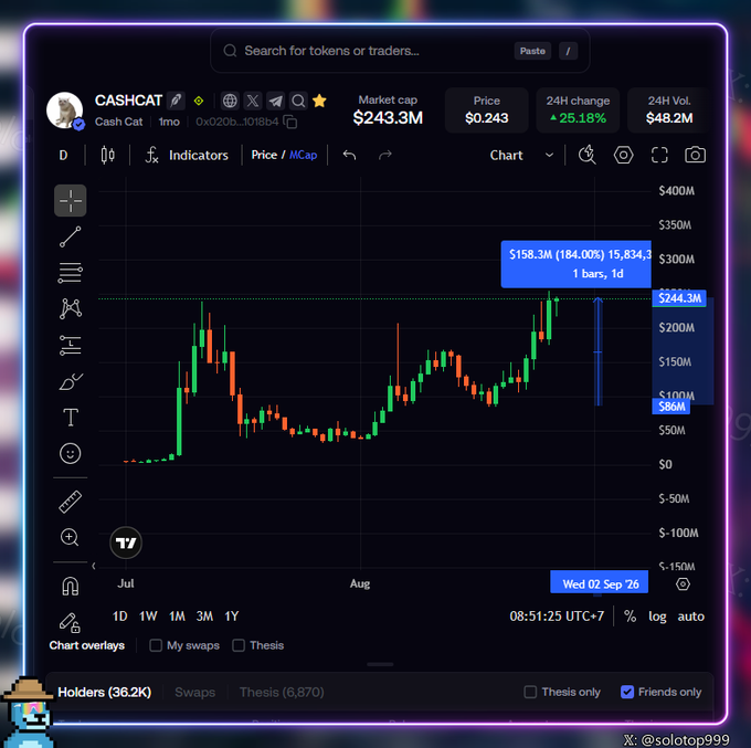 A trading chart for the cryptocurrency 'CASHCAT' showing a market cap of $243.3M, a price of $0.243, and a 24H change of +25.18%, with the website solotop999 visible.