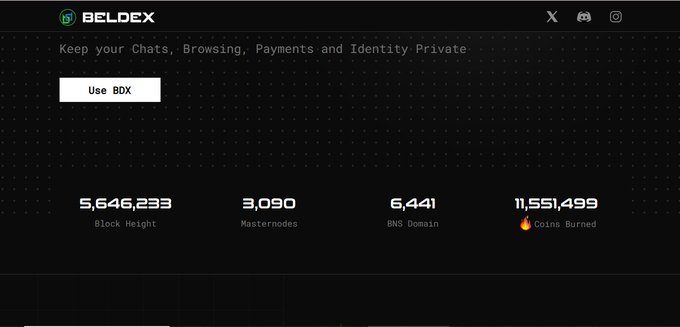The image shows the Beldex (BDX) explorer homepage with statistics including a block height of 5,646,233, 3,090 masternodes, 6,441 BNS domains, and 11,551,499 coins burned, along with a "Use BDX" button and the tagline about keeping chats, browsing, payments, and identity private. The image aligns with the post's focus on exploring Beldex's network infrastructure and masternode statistics.