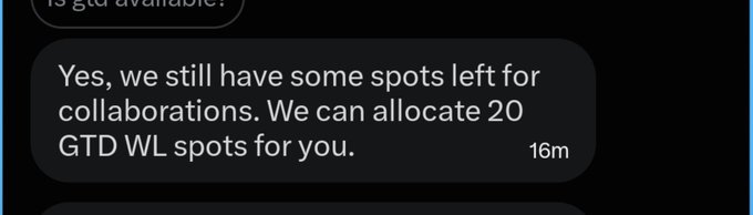 A screenshot of a messaging conversation showing a response that confirms 20 GTD WL spots are available for collaboration, sent 16 minutes ago. The image relates to the post about securing 20 GTD spots on a Robinhood chain NFT project, showing the confirmation of the allocation.