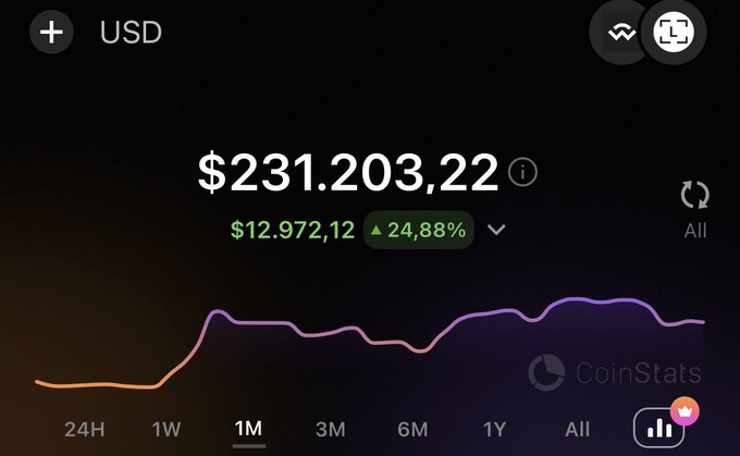 A CoinStats portfolio screenshot showing a USD balance of $231,203.22 with a 24.88% gain of $12,972.12 over a 1-month period.