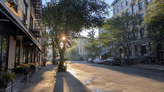 A sunlit street scene with parked cars, trees casting shadows, and brick apartment buildings on both sides.