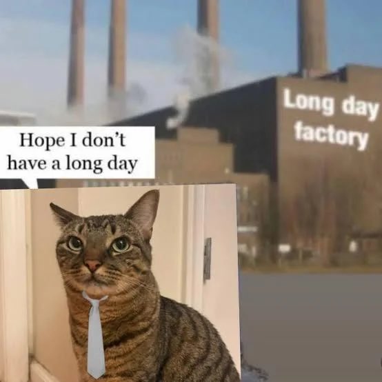 A meme featuring a cat wearing a tie with the caption 'Hope I don't have a long day' next to a factory labeled 'Long day factory'.