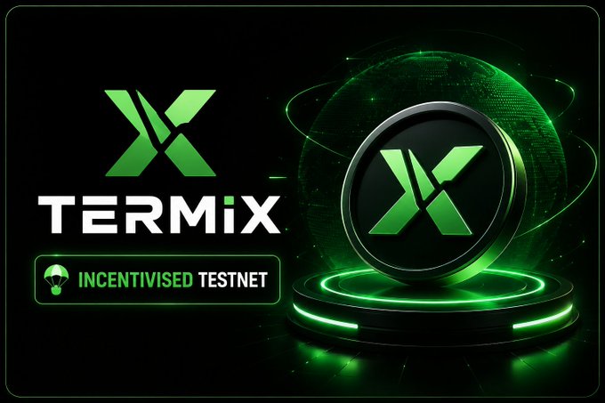 A promotional graphic for 'TERMIX' displaying 'INCENTIVISED TESTNET' next to a stylized green 'X' logo and a 3D globe with metallic accents.