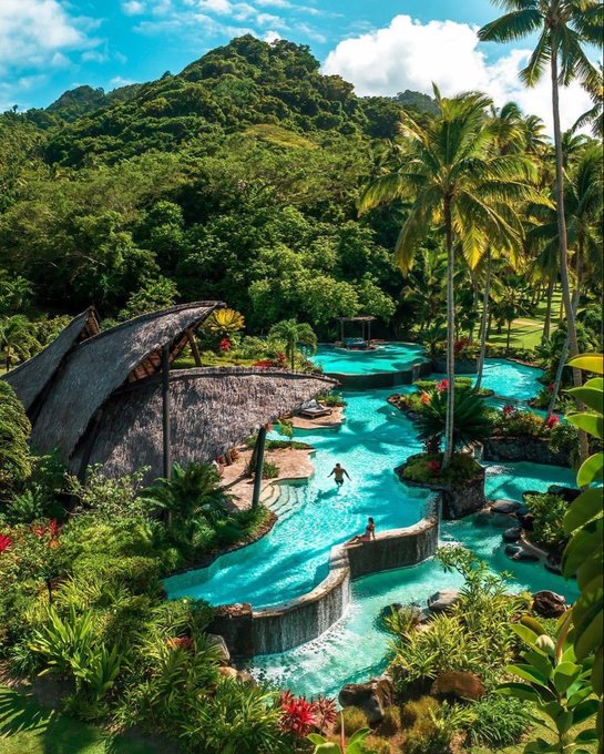 The image shows an aerial view of a tropical resort pool area featuring a large body of water surrounded by palm trees and lush greenery. There are several people enjoying themselves near the pool, with one person swimming and others relaxing or playing around the area. The scene conveys a sense of relaxation and leisure as visitors engage in various activities within the resort's natural setting.