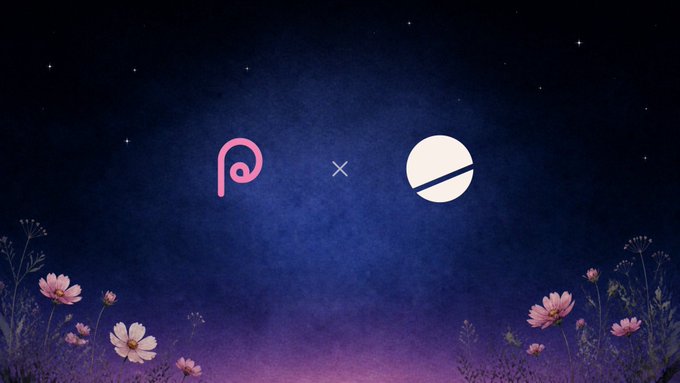 A starry night sky with pink cosmos flowers in the foreground frames the pink Programmable logo and white Dune logo, separated by a multiplication symbol, visually representing the partnership between the two platforms. The image illustrates the collaboration to track launches, trading volume, fees, creator rewards, and protocol revenue in one analytics dashboard.