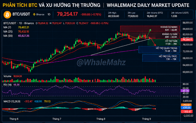 A BTC/USDT cryptocurrency trading chart from Binance titled 'PHÂN TÍCH BTC VÀ XU HƯỚNG THỊ TRƯỜNG | WHALEMAHZ DAILY MARKET UPDATE' showing a price of 79,254.17 and technical indicators.