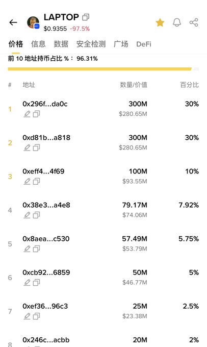 A cryptocurrency wallet token page for 'LAPTOP' priced at $0.9355 (down 97.5%) displays top 10 address holdings representing 96.31% of the market, led by two addresses holding 300M tokens each (30%).