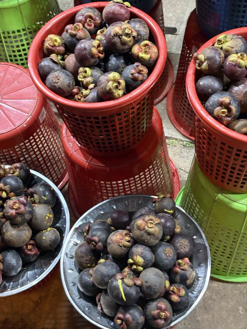Several red, green, and metal baskets filled with fresh mangosteens displayed for sale.
