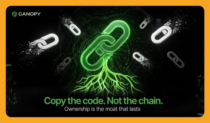 A Canopy marketing graphic featuring a large green chain link with roots growing from it, alongside the tagline 'Copy the code. Not the chain. Ownership is the moat that lasts.'