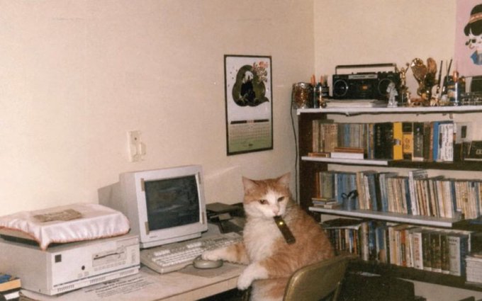 A vintage-style photograph showing an orange and white cat sitting on an office chair next to a CRT computer, with bookshelves, a wall calendar, and a cat poster in the background.