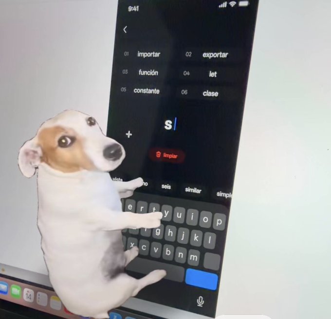 A small white and brown dog appears to stand on its hind legs typing on a smartphone keyboard, which displays a search bar with the letter "s" and Spanish suggestion words like "importar," "exportar," "función," and "clase."