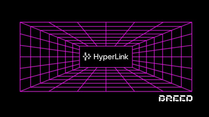 A retro synthwave-style graphic features a pink neon grid tunnel with "HyperLink" logo in the center and "BREED" text in the corner.