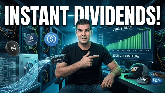 The image features a man sitting at a desk with a computer monitor, surrounded by various objects such as coins, hats, and other items related to cryptocurrency. The text "Instant Divisions!" is displayed above him, suggesting that he might be discussing or explaining something about instant dividends in relation to the crypto world.

In addition to the main image, there are several smaller images of coins scattered around the scene, which could represent different types of digital assets or tokens within a cryptocurrency exchange. The overall atmosphere suggests an educational or informative context related to cryptocurrencies and their potential benefits for investors.