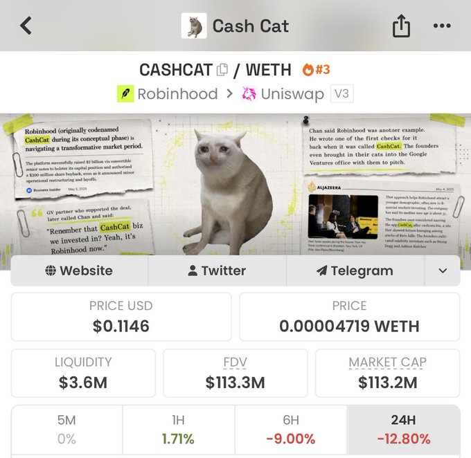 A screenshot of the Cash Cat (CASHCAT/WETH) token page showing a price of $0.1146 with a $113.2M market cap and $3.6M liquidity, down 12.80% in 24 hours. The page highlights the meme's origin as a concept-phase name Robinhood codenamed during its IPO, fitting the post's expectation of a bounce back after the current downtrend.