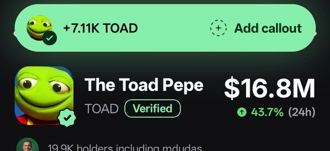 A meme coin tracker displays "The Toad Pepe" (TOAD), showing a market cap of $16.8M with a 43.7% gain in 24 hours and 19.9K holders, highlighting a verified status with 7.11K TOAD added. The image supports the post's bullish sentiment, suggesting that TOAD's current momentum and growing holder base could fuel a rally toward the $100M target.