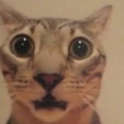 A close-up photo of a tabby cat with strikingly large, dilated eyes and a surprised or shocked expression, a popular meme-style image.
