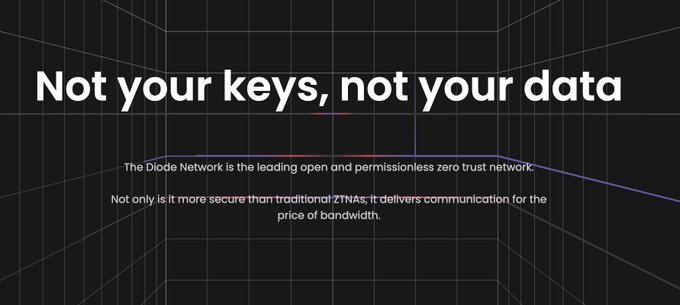 A dark webpage hero section with the headline 'Not your keys, not your data' promoting The Diode Network as a leading open and permissionless zero trust network.