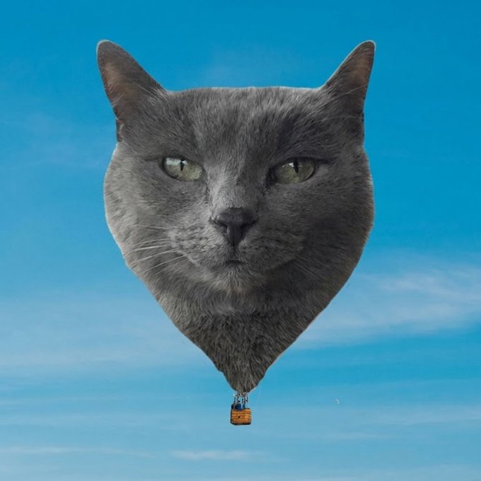 A digital illustration of a gray cat's head edited into a heart-shaped hot air balloon floating in a bright blue sky with wispy clouds.