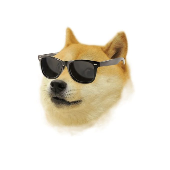 A Shiba Inu dog wearing black sunglasses, often recognized as the 'Doge' meme, against a white background.