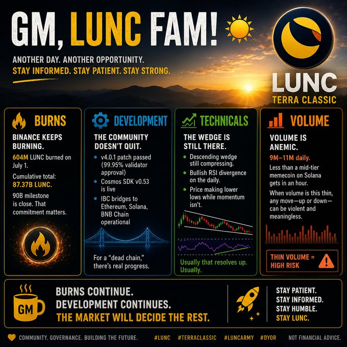 The image provides a snapshot of the LUNC cryptocurrency's performance, including its burning rates, community development projects, technical analysis, and trading volume, encouraging investors to stay informed and patient. It directly relates to the accompanying post's message to watch the charts, respect the risk, and appreciate the builders, as it summarizes the key aspects of LUNC's market status and future potential.