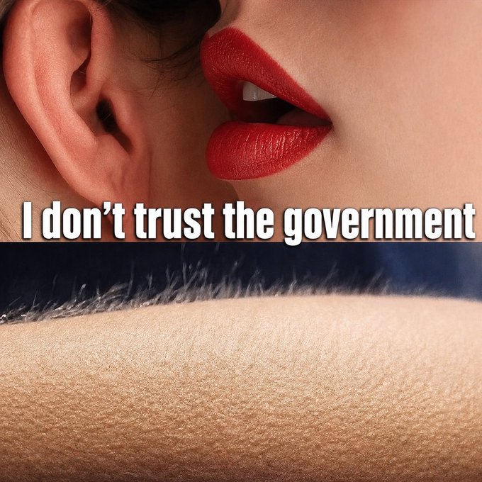 A close-up image split between red lips whispering and an ear listening, with the text 'I don't trust the government' overlaid across the center.
