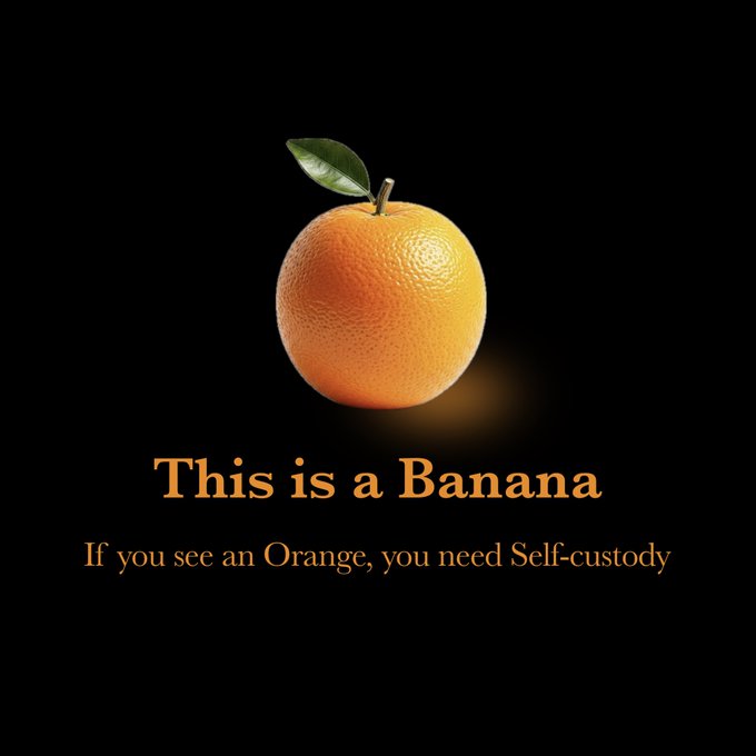 An orange with a green leaf sits against a black background, labeled "This is a Banana," with a caption reading "If you see an Orange, you need Self-custody." The image plays on the viral "banana test" meme, illustrating that if you accept the false labeling and call the orange a banana, you lack the critical thinking needed to manage your own crypto wallets safely.